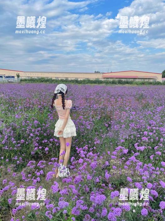 91吃瓜：你不知道的在线八卦入口，谁说虚拟世界不精彩？