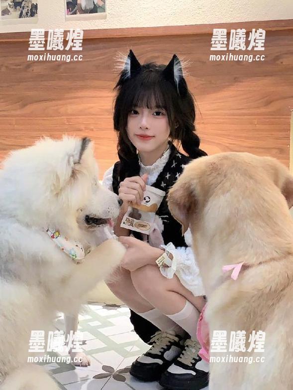 iOS上有个神秘的www51，瓜吃太多也不怕恢复出厂设置！